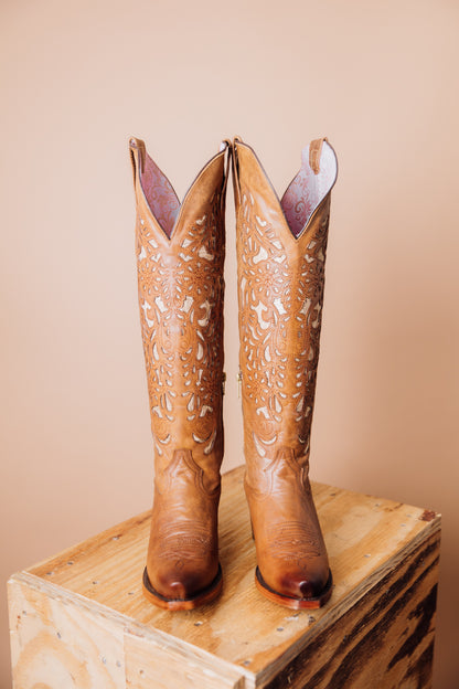Daysi Miel Tall Cowgirl Boot
