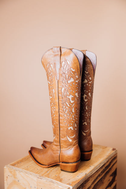 Daysi Miel Tall Cowgirl Boot